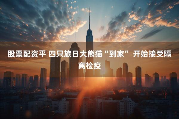 股票配资平 四只旅日大熊猫“到家” 开始接受隔离检疫