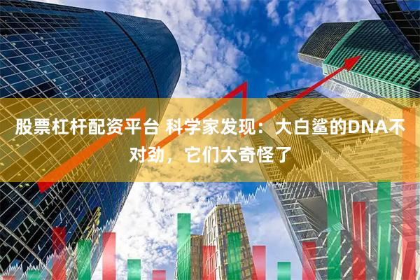股票杠杆配资平台 科学家发现：大白鲨的DNA不对劲，它们太奇怪了