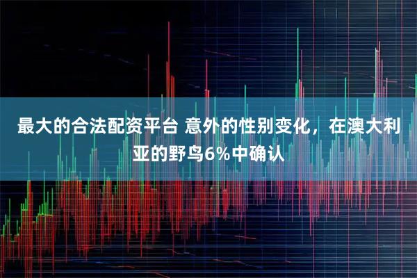 最大的合法配资平台 意外的性别变化，在澳大利亚的野鸟6%中确认